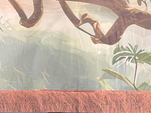 a toucan in a jungle tree