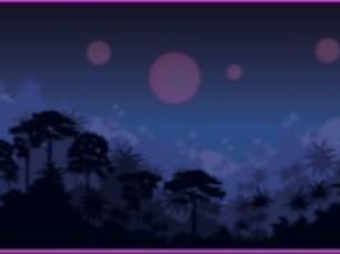 A Night time jungle scene