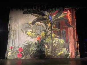 A printed cloth of an exotic bird in a forest with background desert cacti